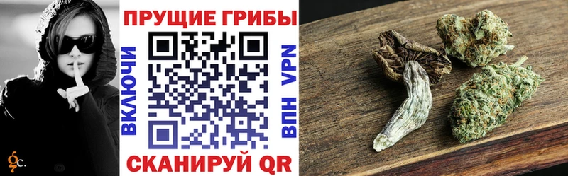 дарнет шоп Берёзовский блэк спрут ссылки Галлюциногенные грибы мухоморы